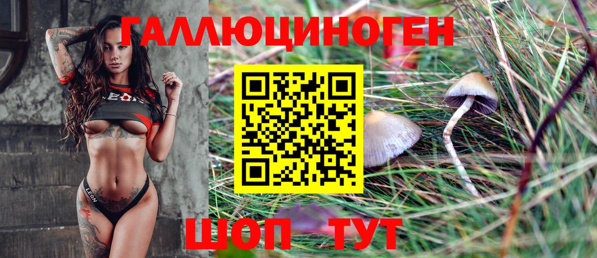 Псилоцибиновые грибы мицелий Минеральные Воды