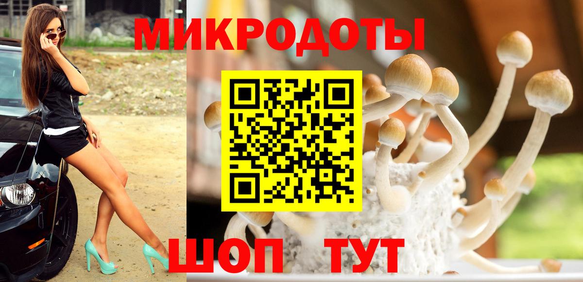 Галлюциногенные грибы MAGIC MUSHROOMS  Вход с VPN  Минеральные Воды 